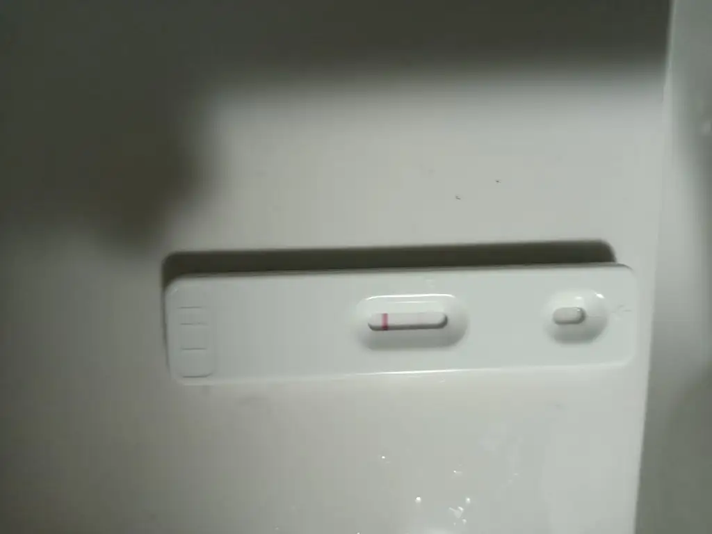 IMG20221027221956.webp