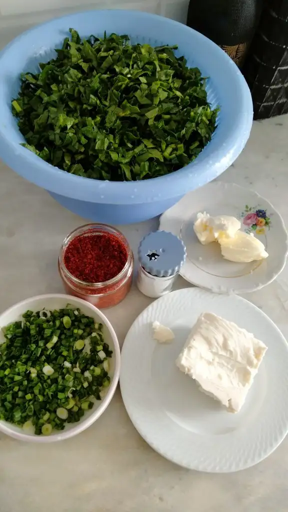 IMG20230612133145.jpg