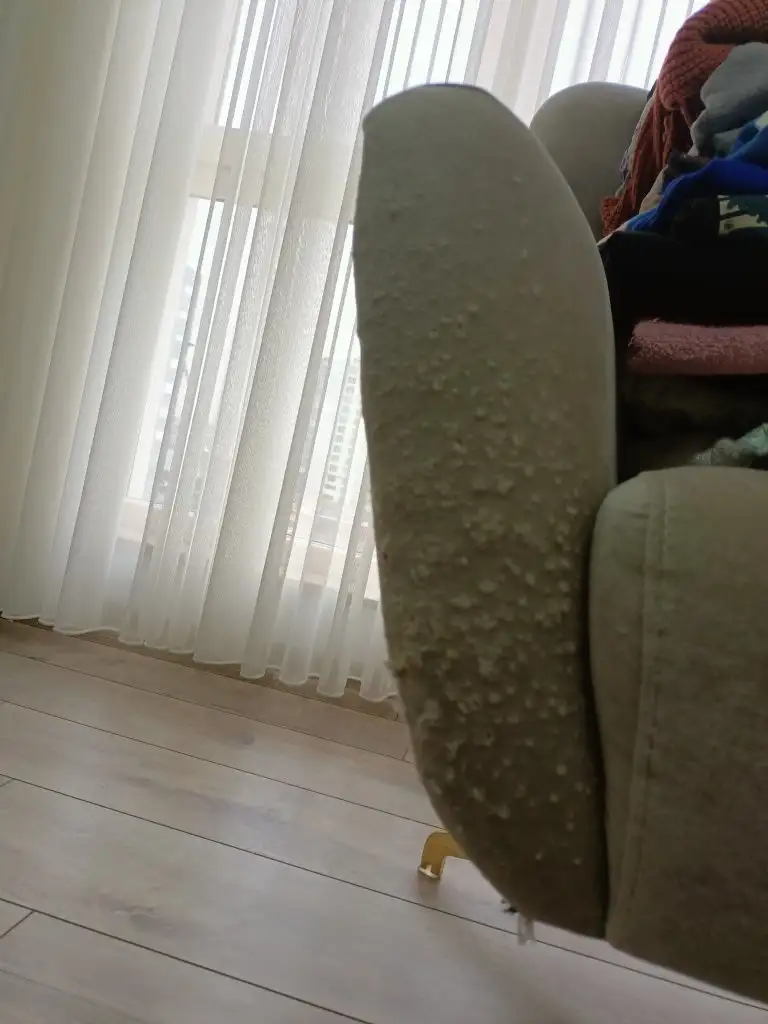 IMG20231208152525.webp