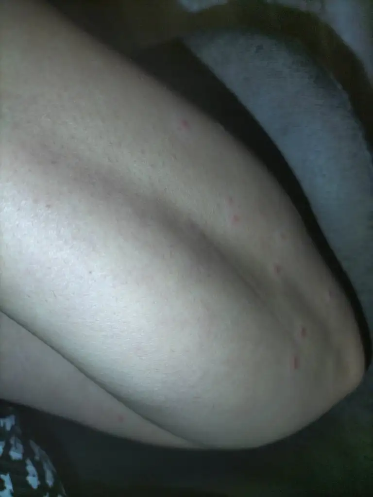 IMG20241212212433.webp