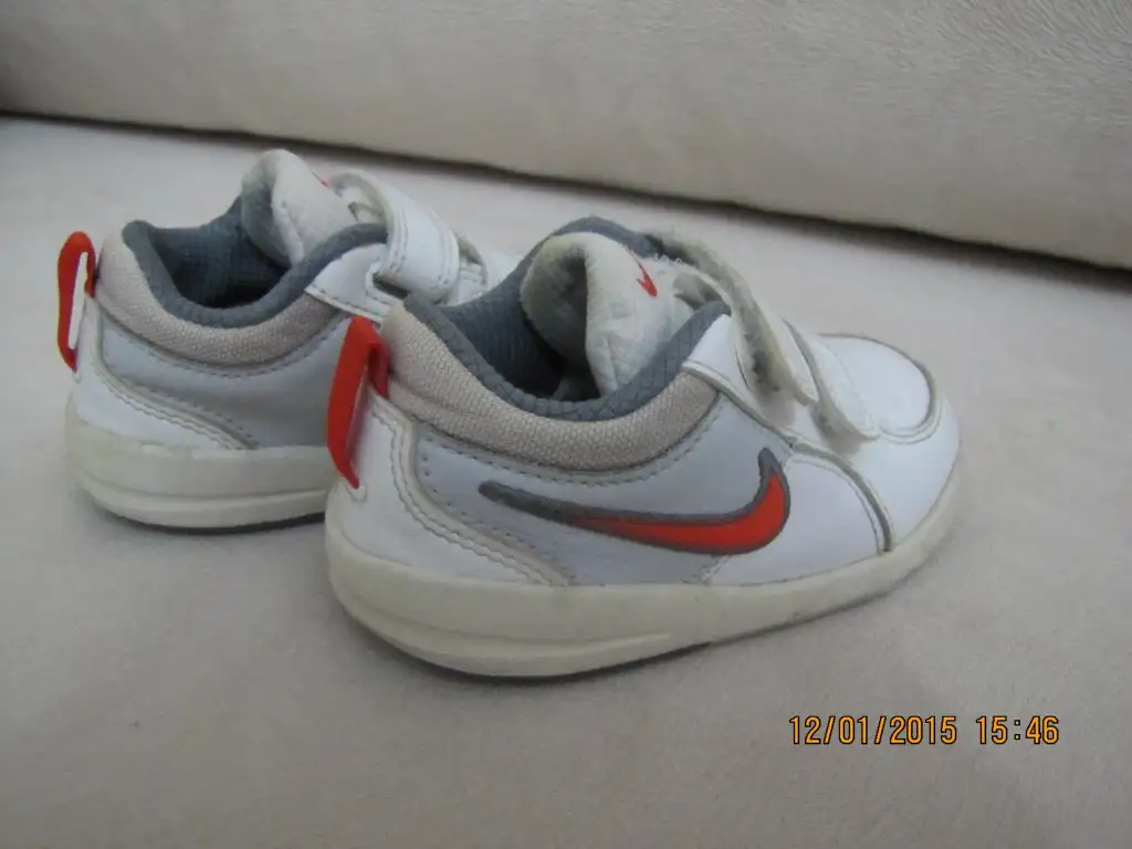IMG_0011.webp