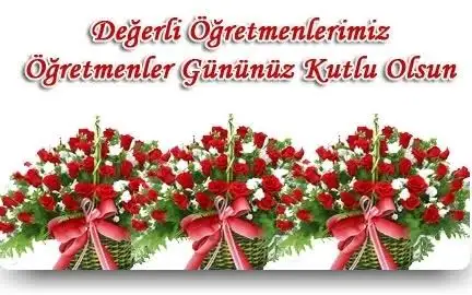 IMG_0017.webp