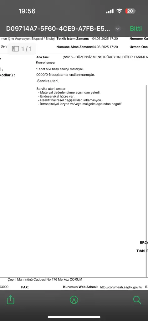 IMG_0915.webp