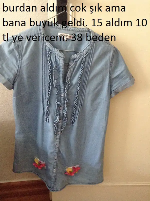 IMG_1201.webp