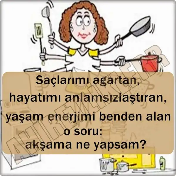 IMG_1944.webp