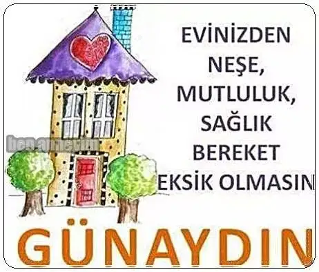 IMG_19939656558153.webp
