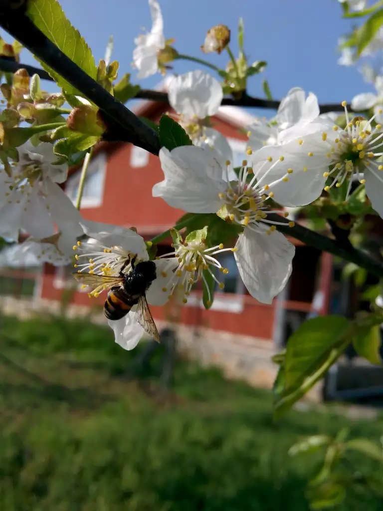 IMG_20140426_085459.webp