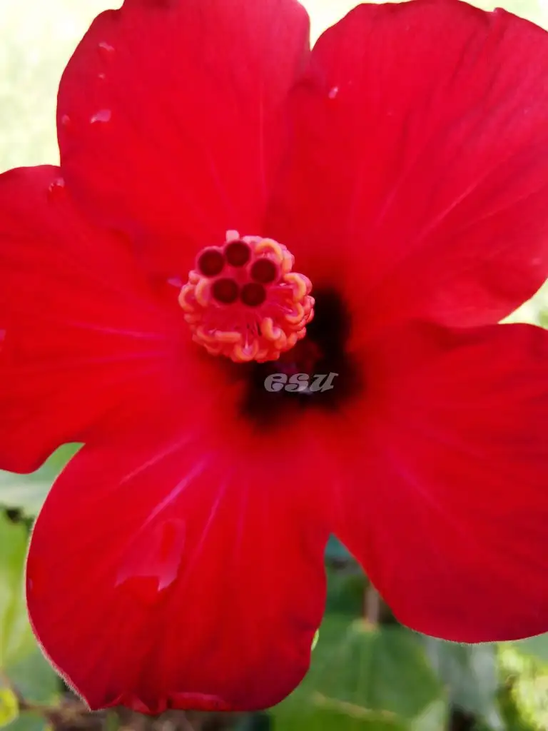 IMG_20140628_083318.webp