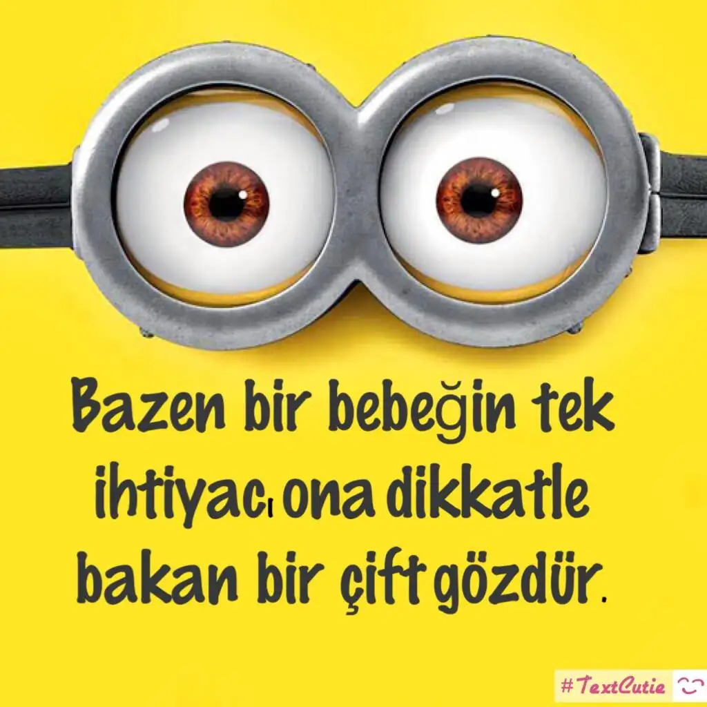 IMG_20141017_094649.webp