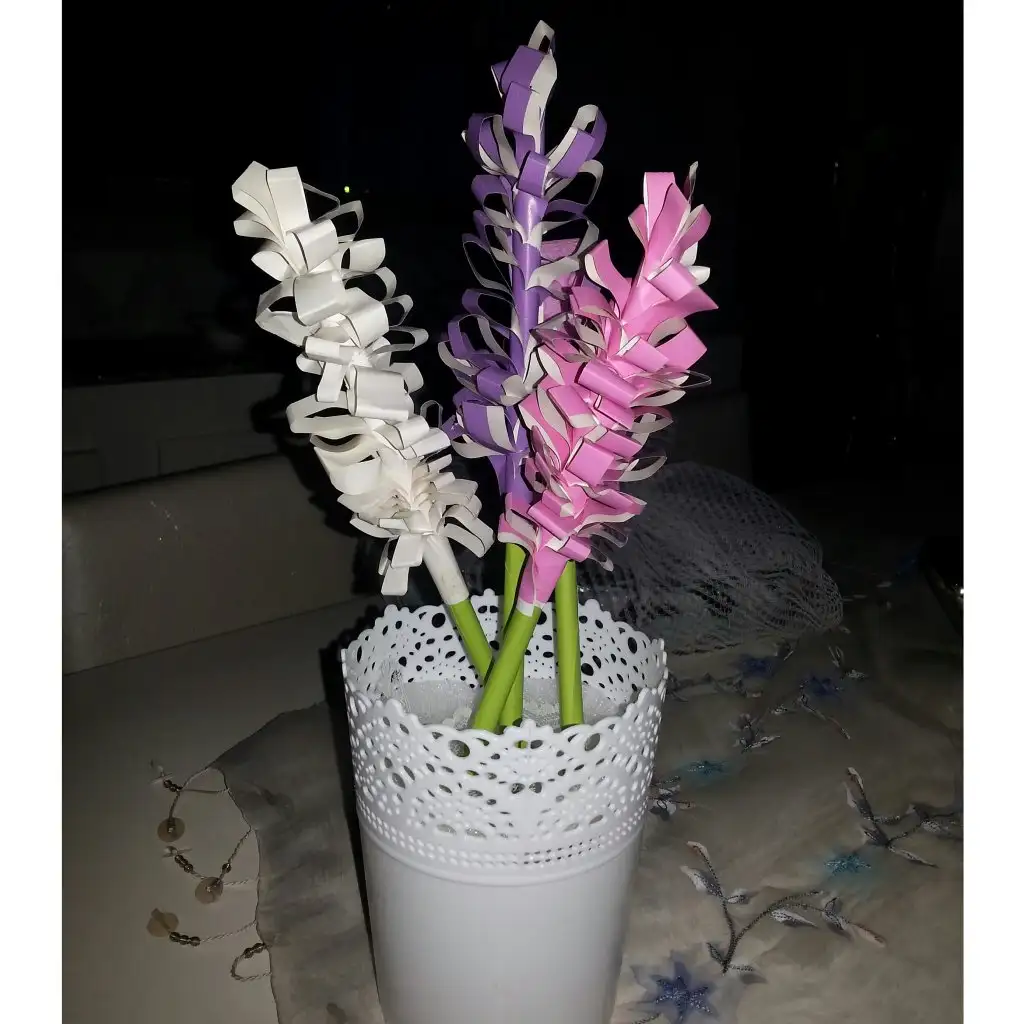IMG_20141124_095432.webp