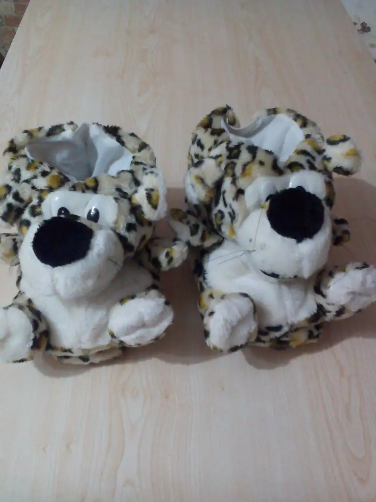 IMG_20150215_224238.webp
