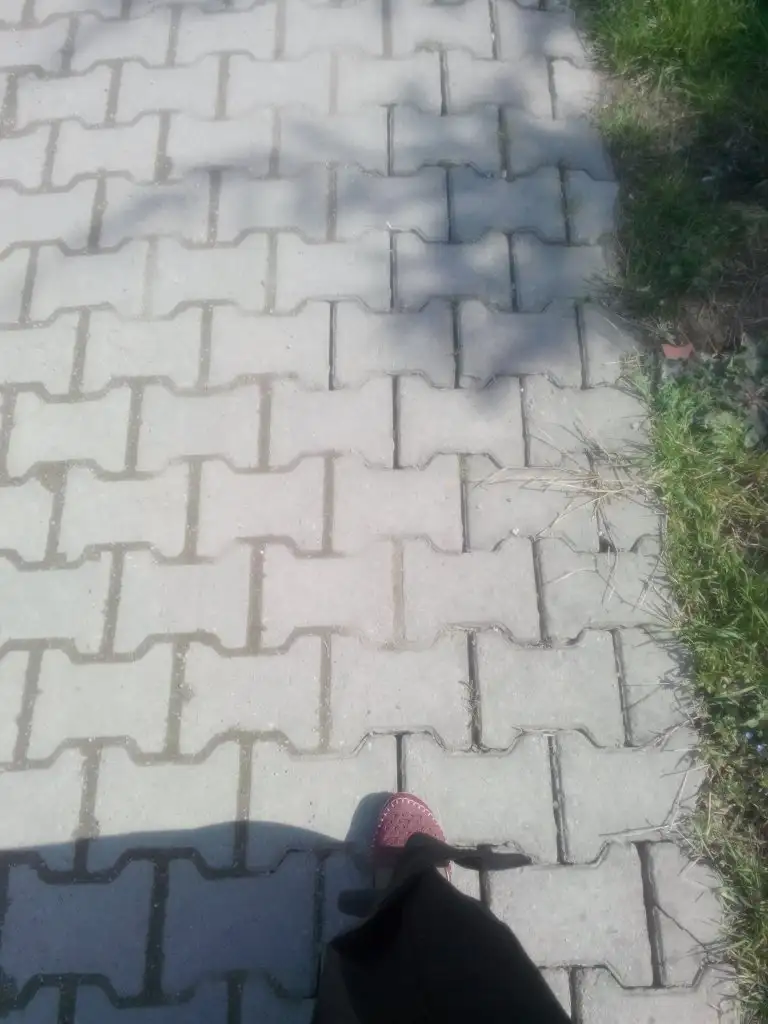 IMG_20150326_133450.webp