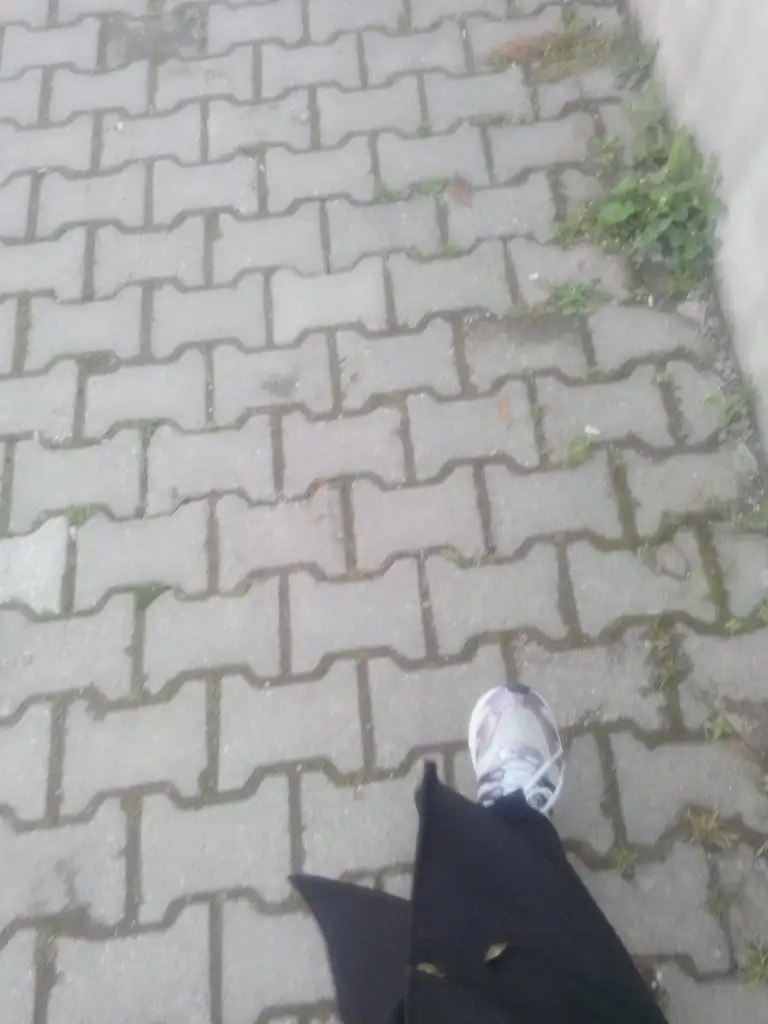 IMG_20150327_112123.webp