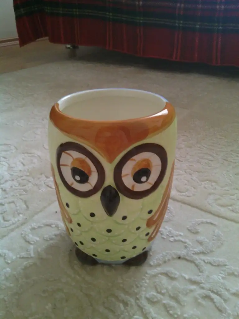 IMG_20150409_162203 (1).webp