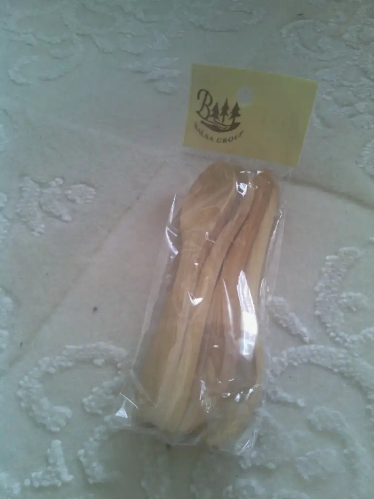 IMG_20150409_162706 (20).webp