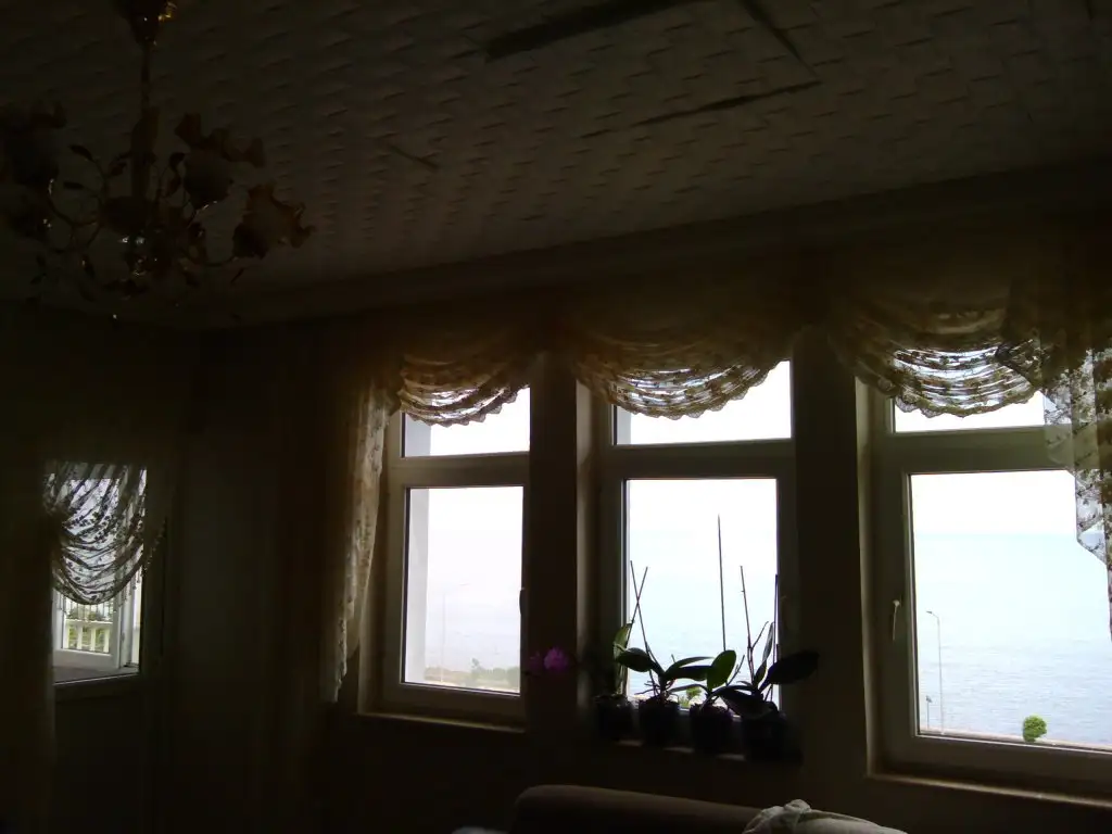 IMG_20150702_101142.webp