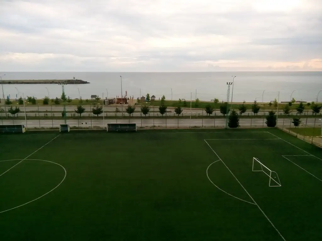 IMG_20150717_062451.webp