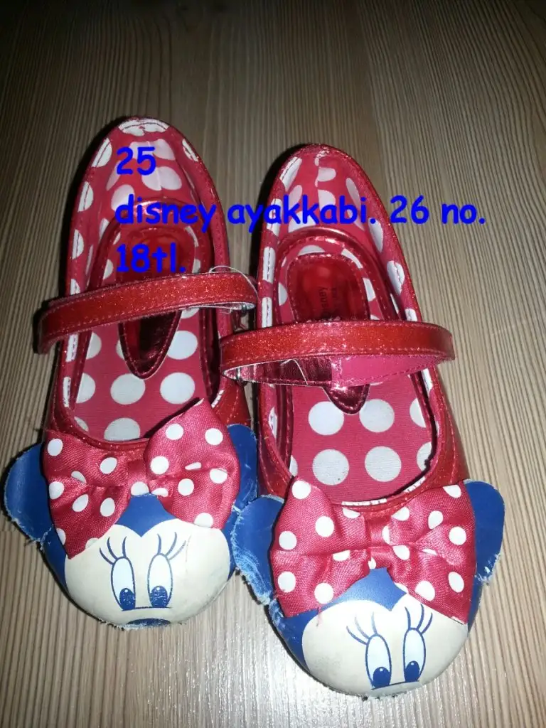 IMG_20151019_013732.webp
