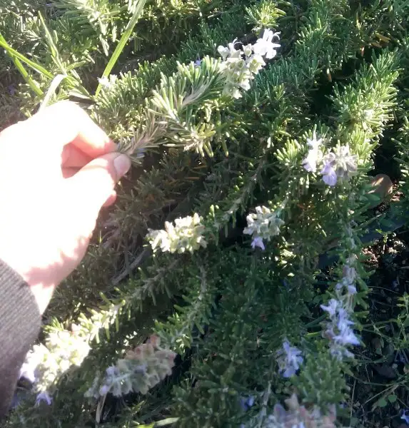 IMG_20161102_152501-1.webp