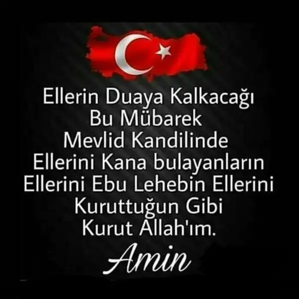 IMG_20161211_121049.webp