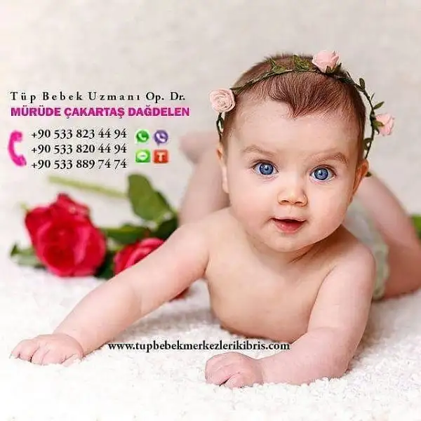 IMG_20170601_133947_598.webp