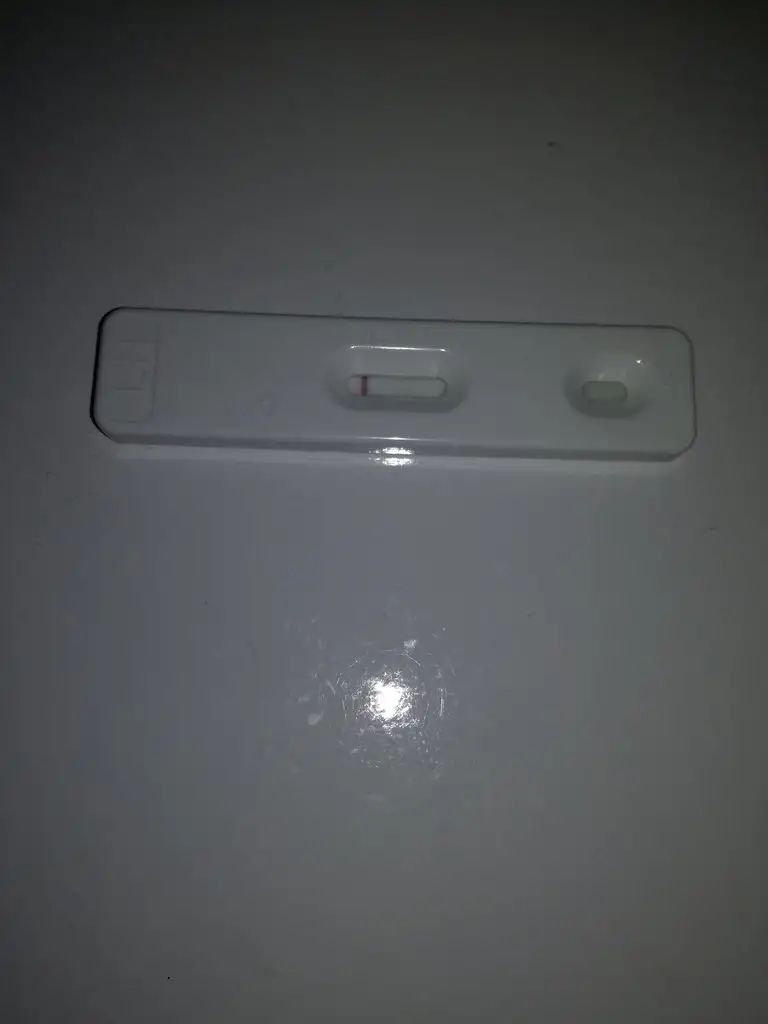 IMG_20190305_220336.webp