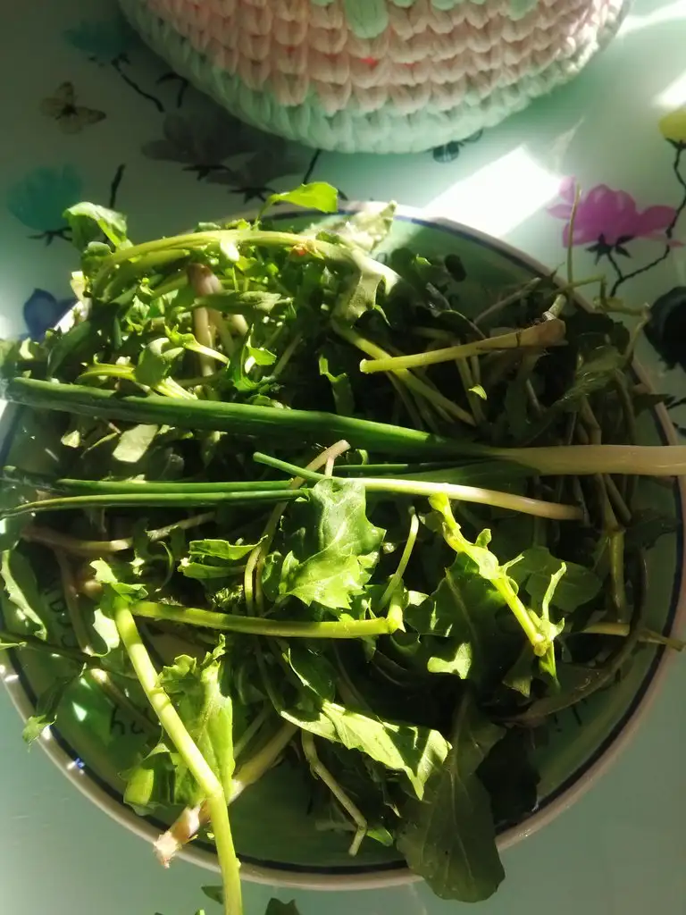 IMG_20190406_090755.webp