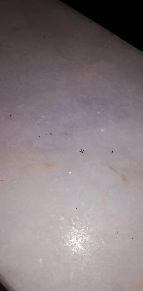 IMG_20190613_214359.webp