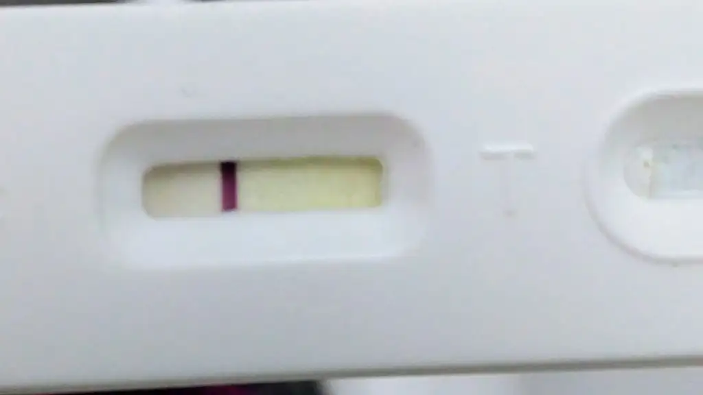 2280056