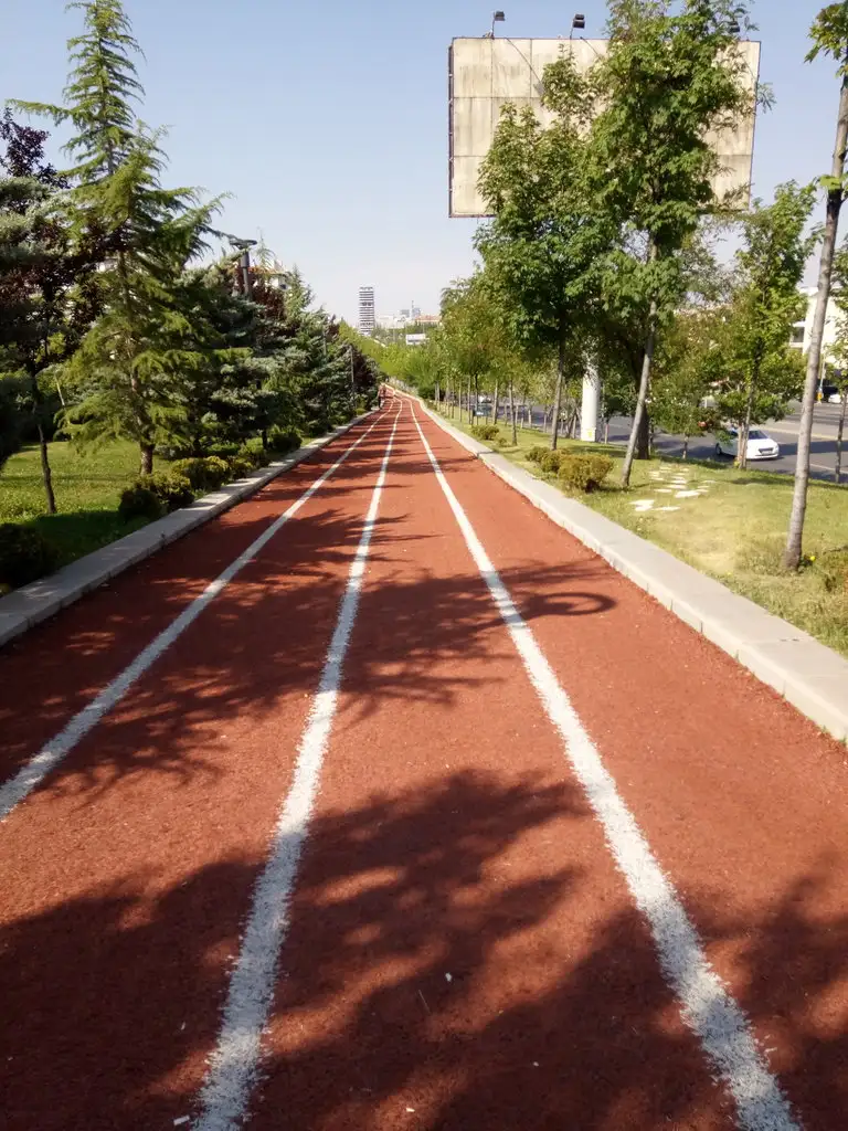 IMG_20190724_092516.webp