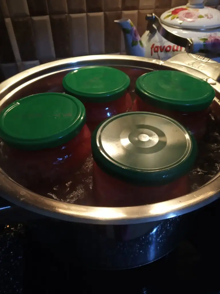 IMG_20190820_211818.webp