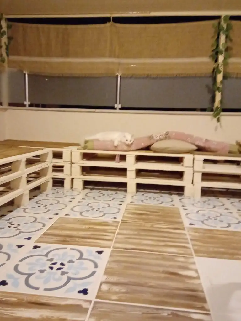 IMG_20191002_212342.webp