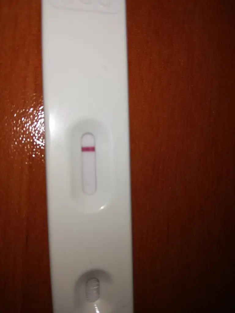 IMG_20191015_150236.webp