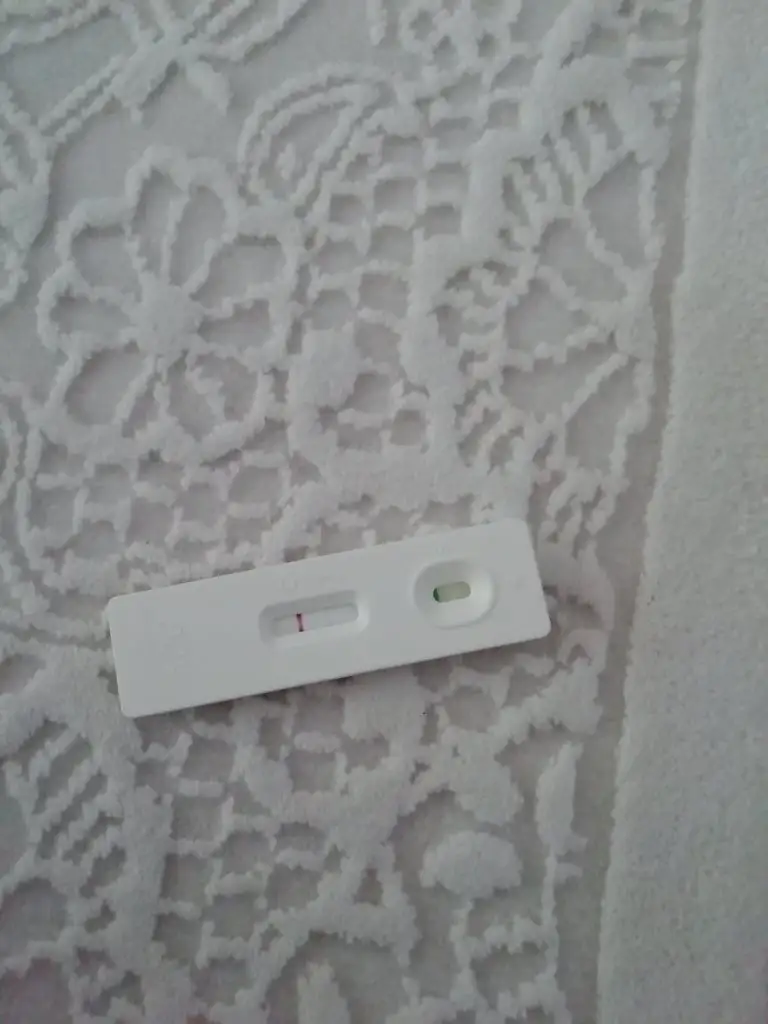 IMG_20191016_142252.webp