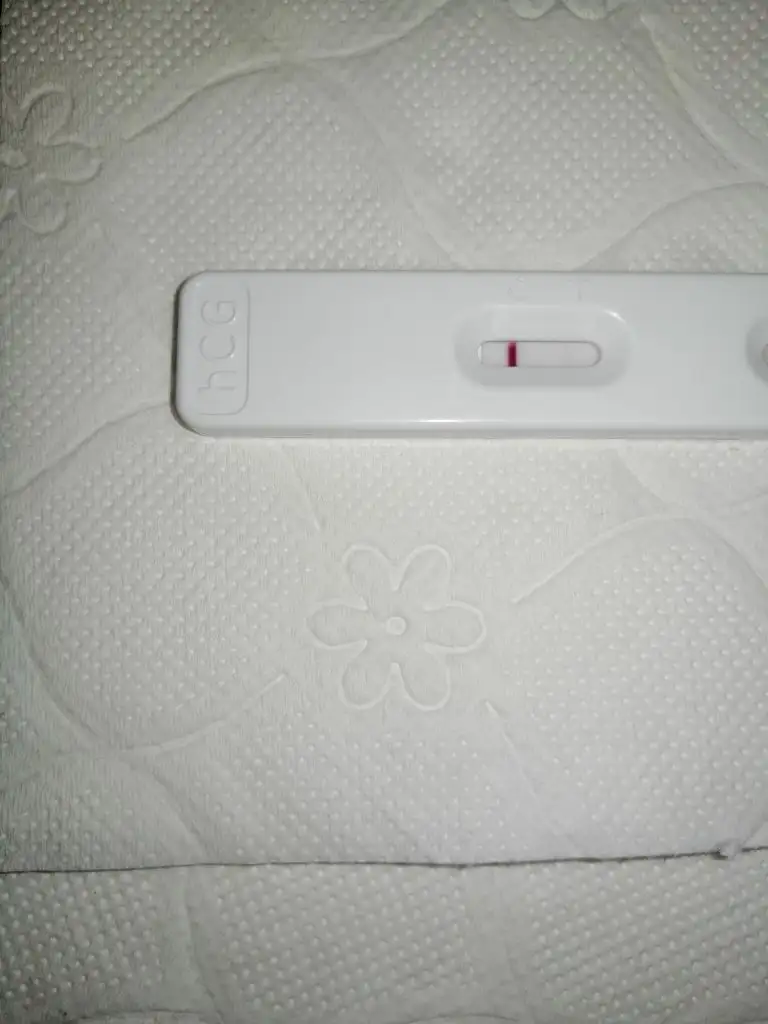 IMG_20200425_044531.webp