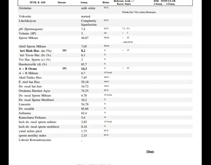 IMG_20200510_223552.webp