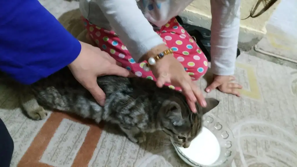 IMG_20200528_215209_N.webp