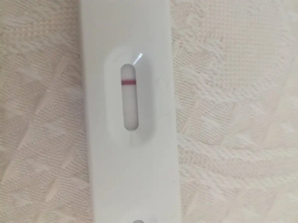 IMG_20200728_155335.webp