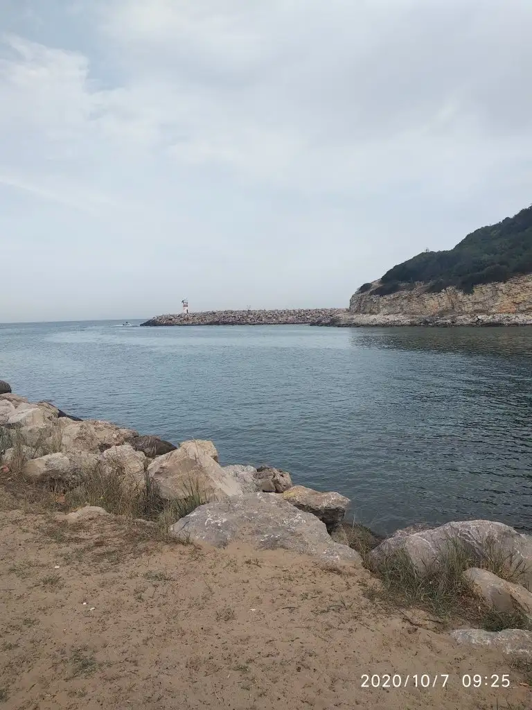 IMG_20201007_092600.webp