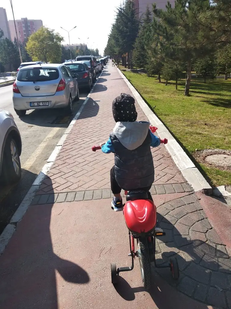IMG_20201106_121517.webp
