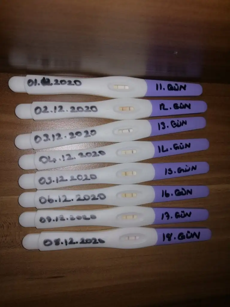 IMG_20201208_192255.webp