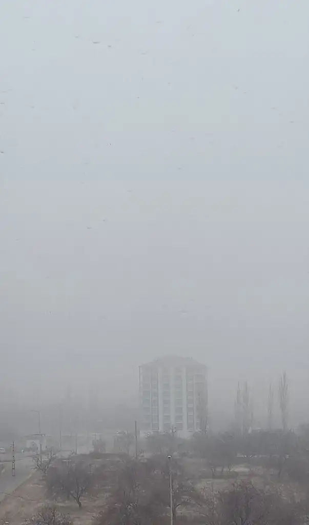 IMG_20201231_130856.webp
