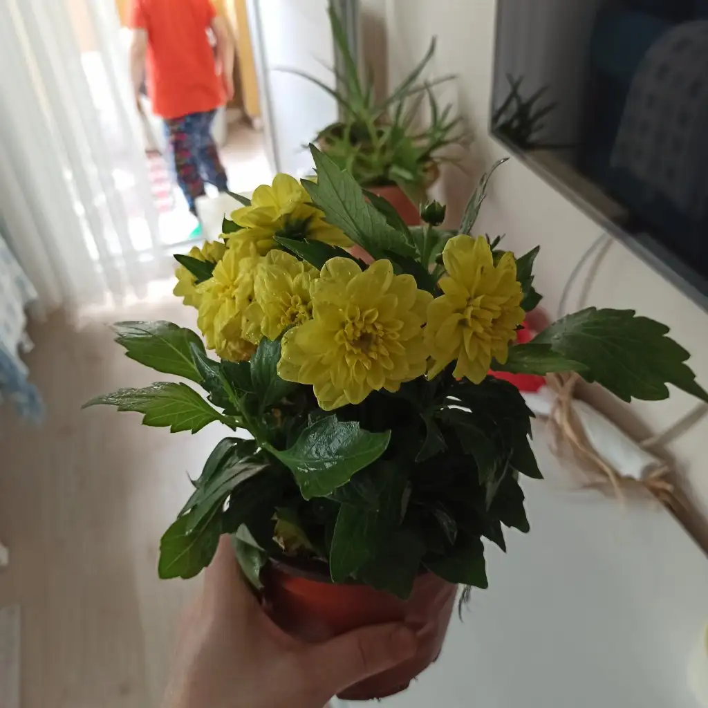 IMG_20210515_174122.webp
