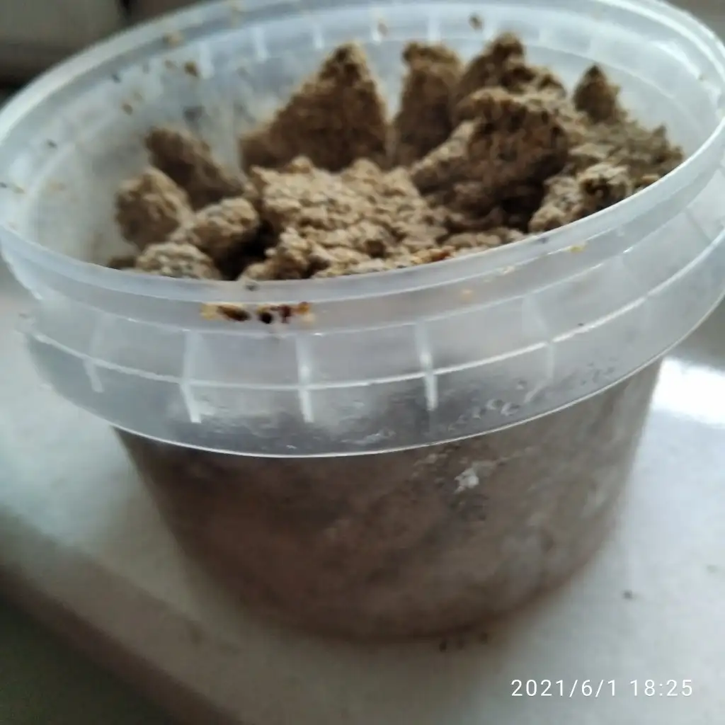 IMG_20210601_182536.webp
