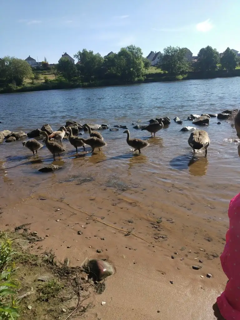 IMG_20210602_085151.webp