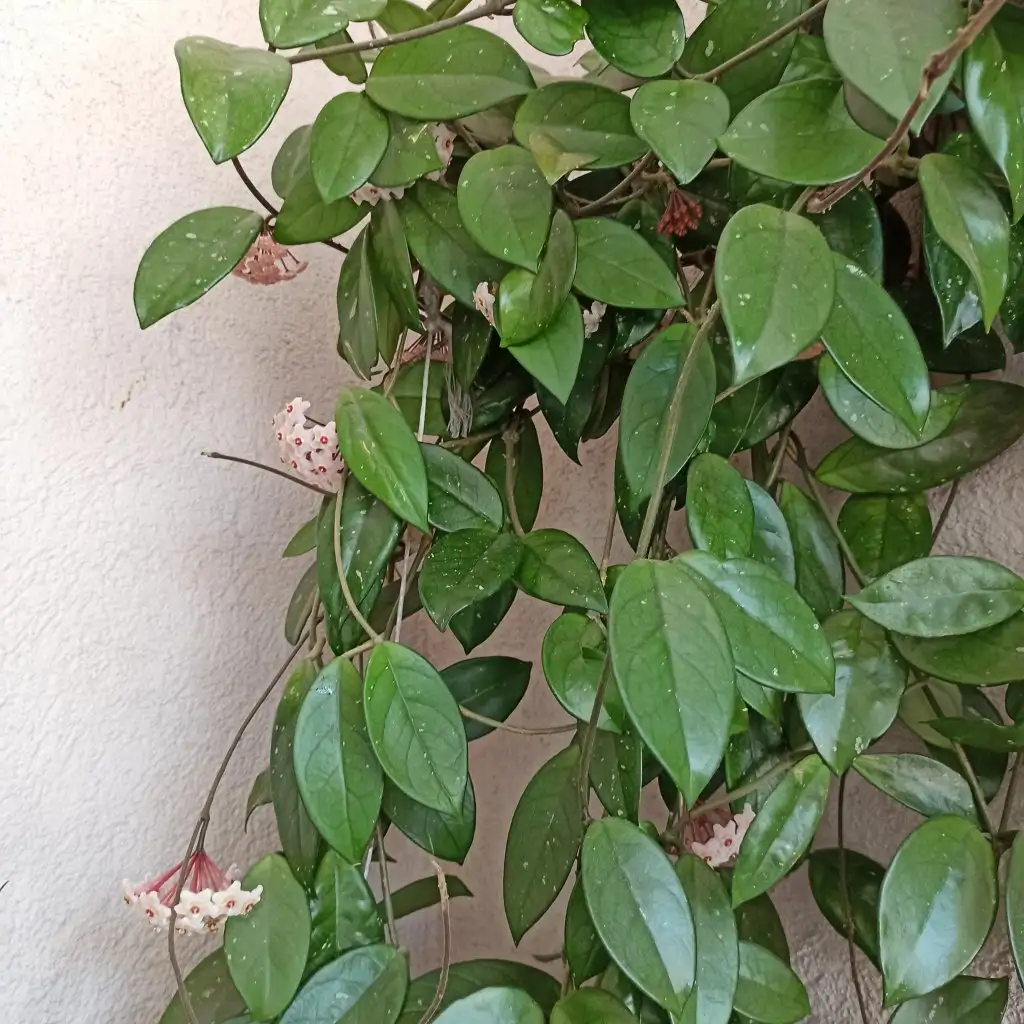 IMG_20210626_122302.webp