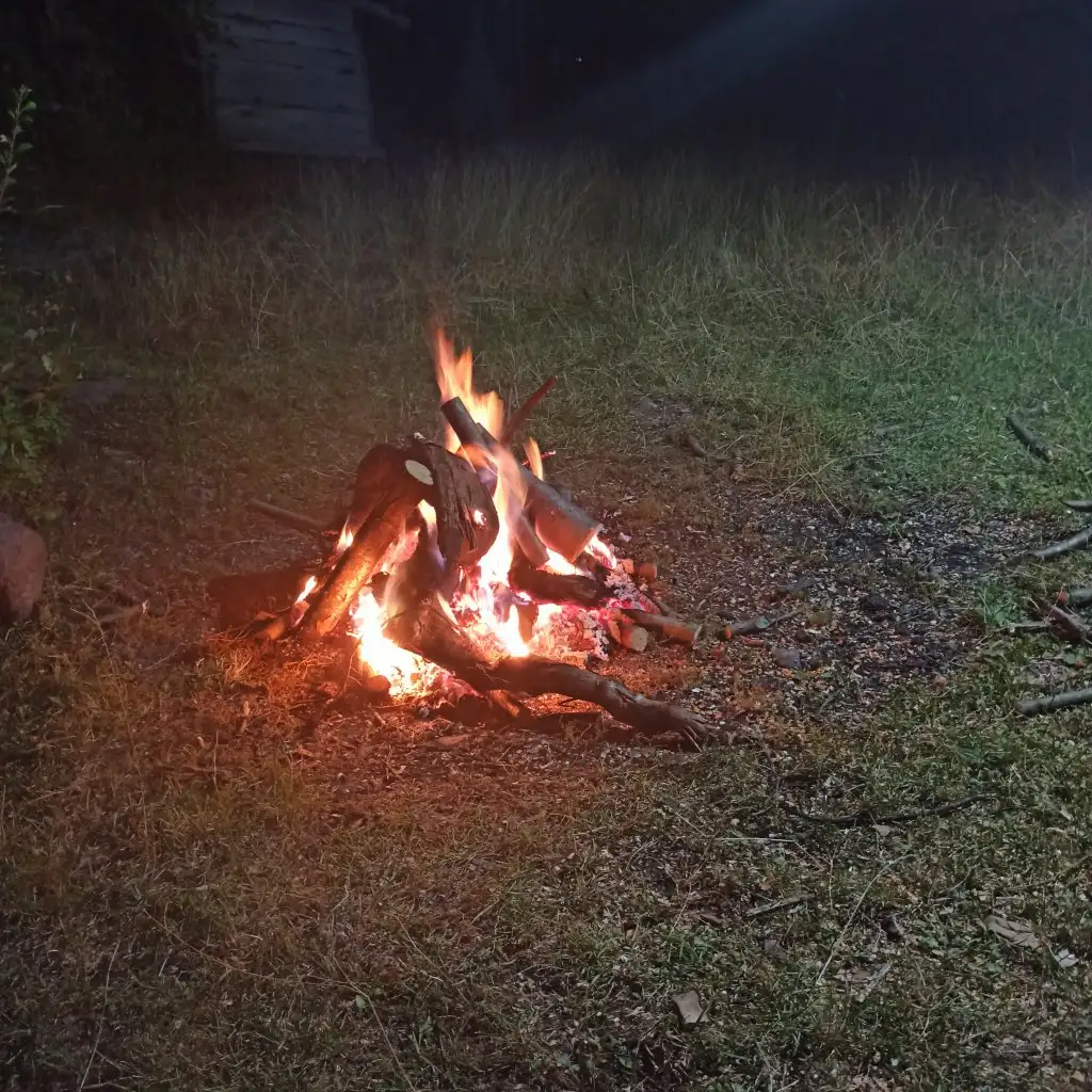 IMG_20210718_205651.webp