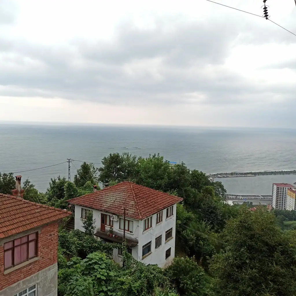IMG_20210722_064124.webp