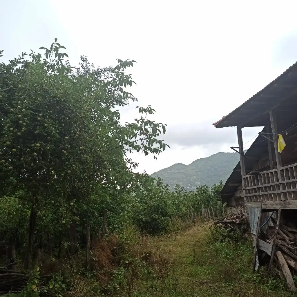 IMG_20210723_094702.webp