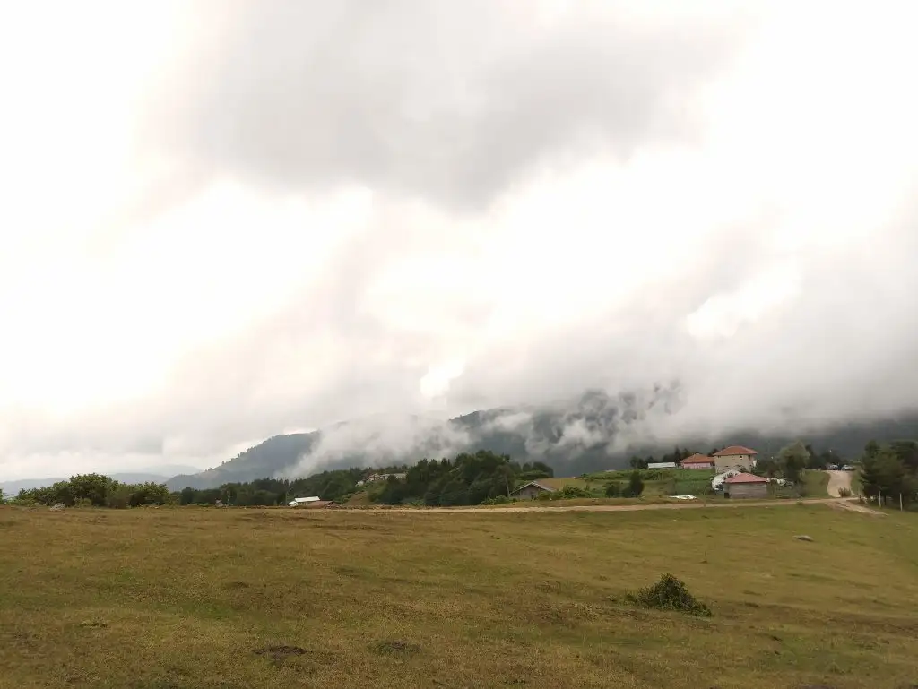 IMG_20210723_164330.webp
